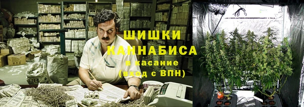 СК Верея