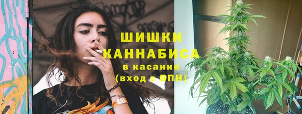 СК Верея