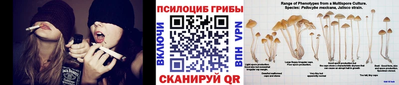 Галлюциногенные грибы Magic Shrooms  kraken ссылки  Лодейное Поле 